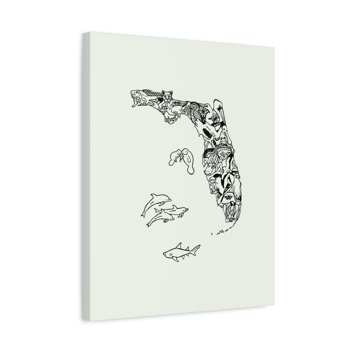 Florida Wildlife Map Canvas
